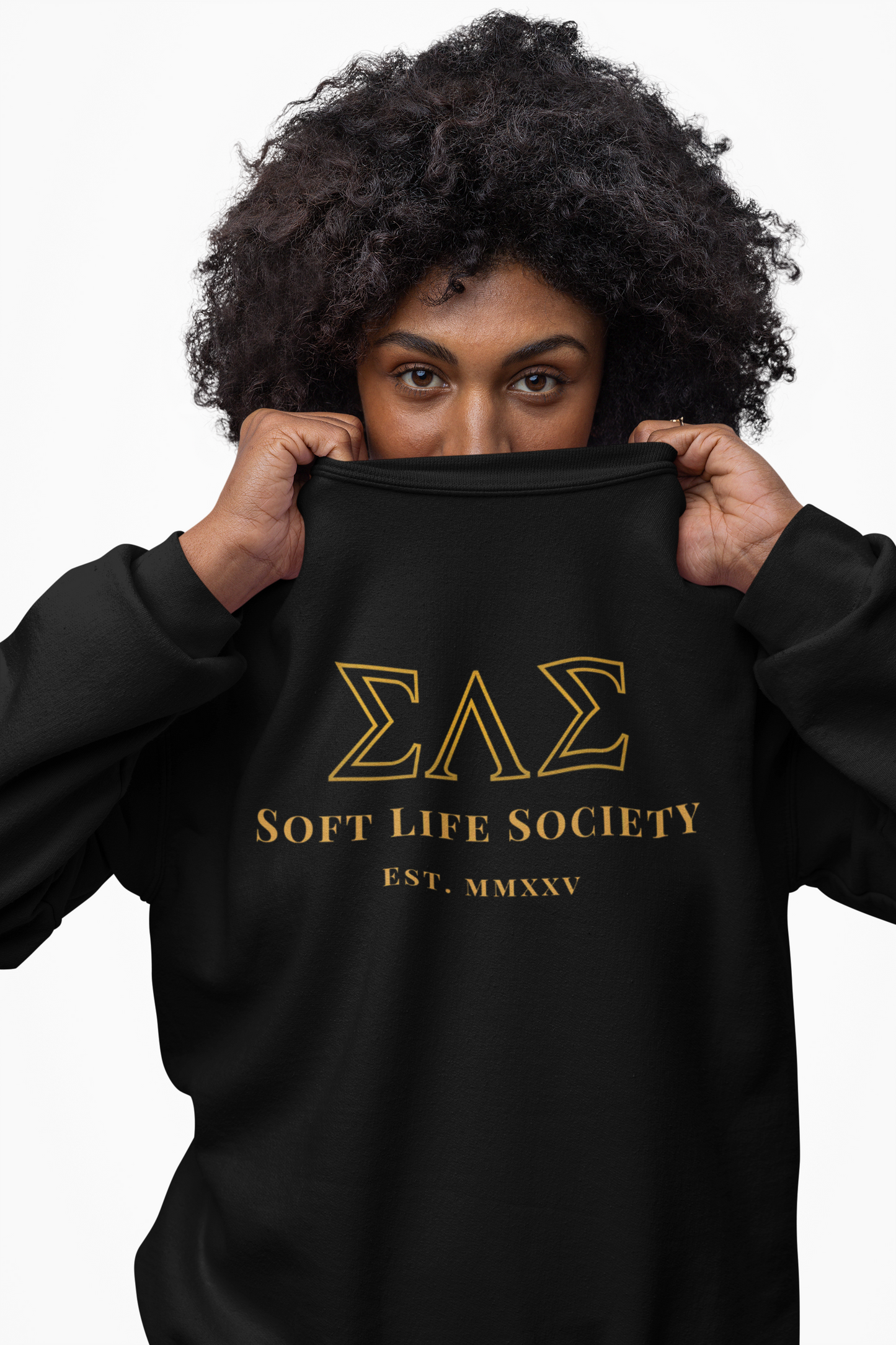 Soft Life Society™ Sorority Crewneck Sweatshirt | ΣΛΣ Vintage Embroidery | Unisex Heavy Blend in Black & Maroon