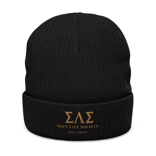 Black beanie with gold embroidery on a white background