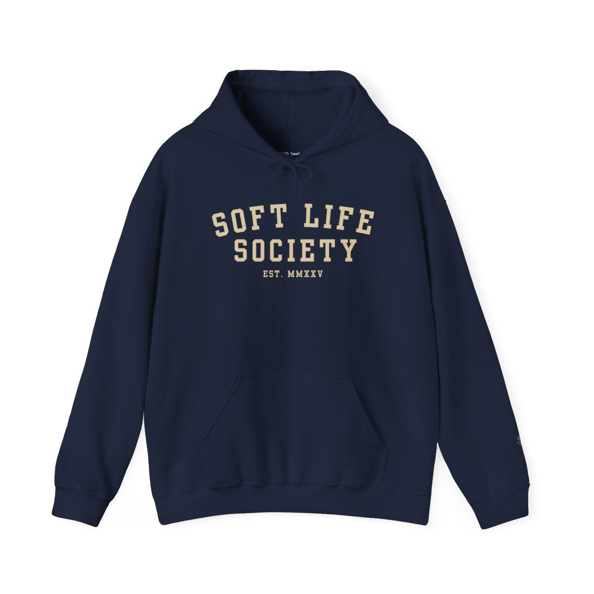 Soft Life Society Hoodie | Vintage Collegiate Pullover