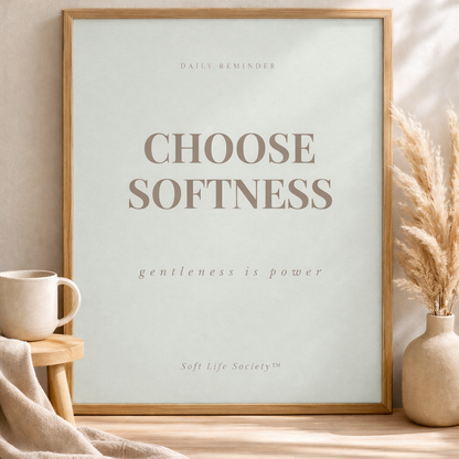 Framed poster with 'Choose Softness' text on a shelf with decor items.