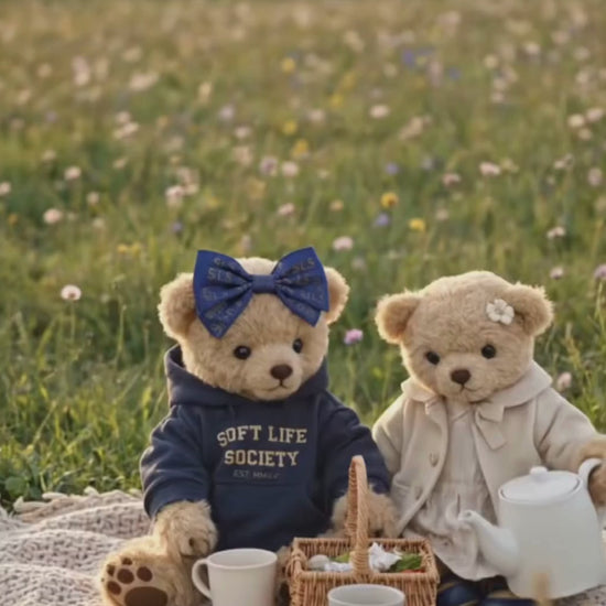 Soft Life Society teddy bears wearing hoodies enjoying a cozy outdoor picnic with tea in a peaceful field